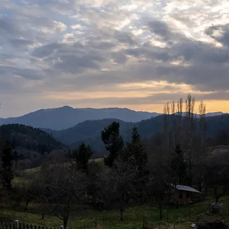 4 Personnes Les Ecureuils Goldbach